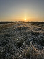 IMG_9858.jpeg
