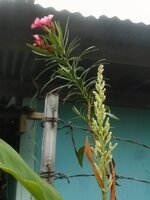 DSCN0855~3.JPG