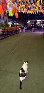 IMG_4157.jpeg