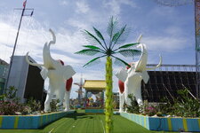 DSC01356.JPG