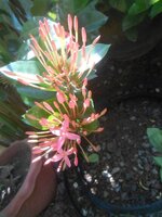 DSCN0750~2.JPG