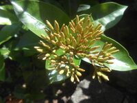 DSCN0751.JPG