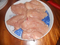 DSCN0729.JPG