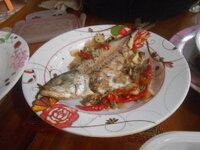 DSCN1253.JPG