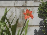DSCN1131.JPG