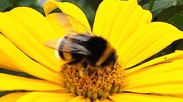 20260708_092427.jpg