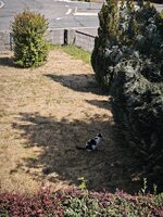 IMG_20260724_115109.jpg