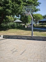 IMG_20260724_094523.jpg