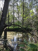 IMG_20260723_185355.jpg