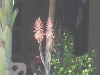 DSCN1134.JPG