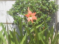DSCN1132.JPG