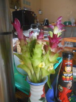 DSCN0318.JPG