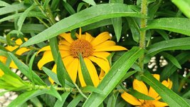 20260708_092449.jpg
