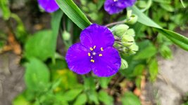20260708_092458.jpg