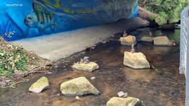 20260720_072539.jpg