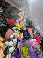PXL_20260723_111058323~2.jpg
