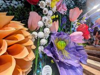 PXL_20260723_111102838~2.jpg