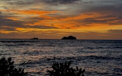 IMG_4445.jpeg