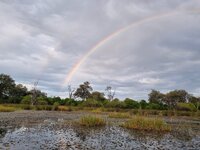20260425_Delta-Regenbogen.jpg