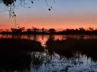 20260427_Delta-Sonnenuntergang.jpg