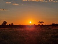 20260429_Mababe-Sonnenuntergang.jpg