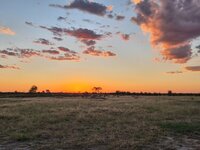 20260429_Mababe-Sonnenuntergang-2.jpg