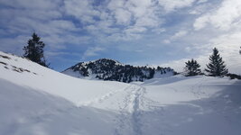 20160214_110233.jpg