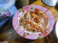 DSCN1074.JPG DSCN1074.JPG