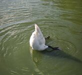IMG_20260727_183605.jpg