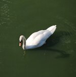 IMG_20260727_183703.jpg
