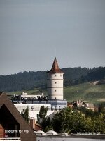 25826.jpg