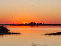 20260502_Chobe-Sonnenuntergang-1.jpg