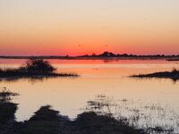 20260502_Chobe-Sonnenuntergang-2.jpg 20260502_Chobe-Sonnenuntergang-2.jpg