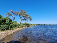 20260503_Chobe-Fluss.jpg