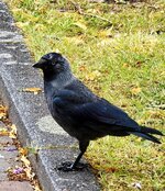 IMG_20260727_162409.jpg
