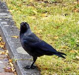 IMG_20260727_162454.jpg