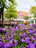 IMG_20260727_230009.jpg