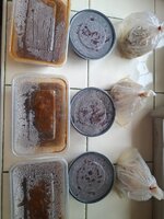 20260729_142948.jpg