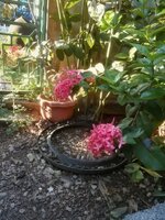 DSCN1363~3.JPG