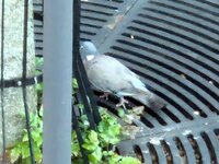 20260729_065818.jpg
