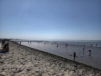 IMG_20260729_155454.jpg