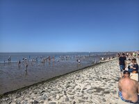 IMG_20260729_155508.jpg