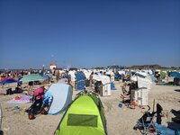 IMG_20260729_155549.jpg