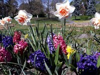 IMG-20260408-WA0032.jpg