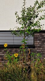 20260730_090300.jpg