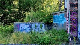 20260729_083608.jpg