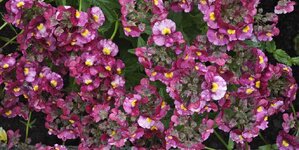 IMG_20260626_140801.jpg
