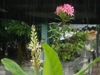 DSCN1550~2.JPG