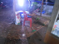 DSCN1248.JPG