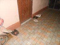 DSCN1249.JPG